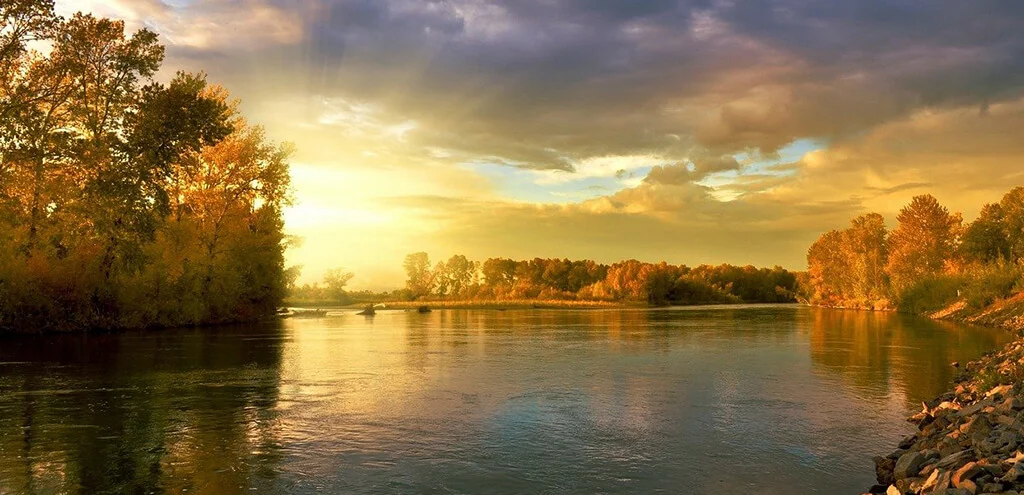 統一感のあるデザインを作るには トーン＆マナーを考える