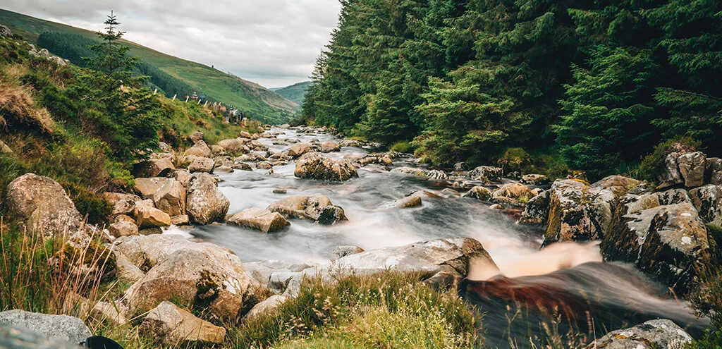 Webサイトのクオリティを高める、写真の構図について